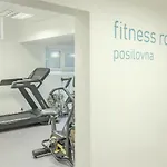 Wellness Studio! Finnish Sauna, Whirlpool, Gym & More! Praga