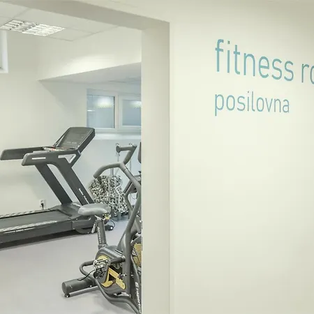 Wellness Studio! Finnish Sauna, Whirlpool, Gym & More! Praha