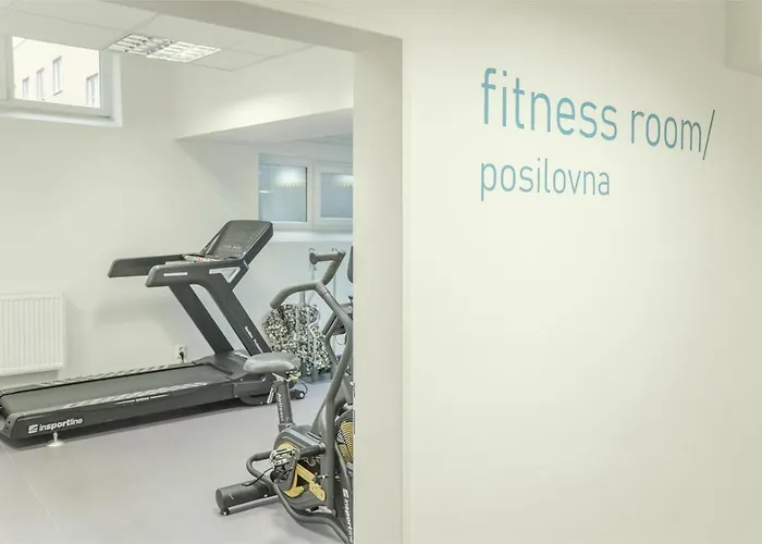 Wellness Studio! Finnish Sauna, Whirlpool, Gym & More! Prague